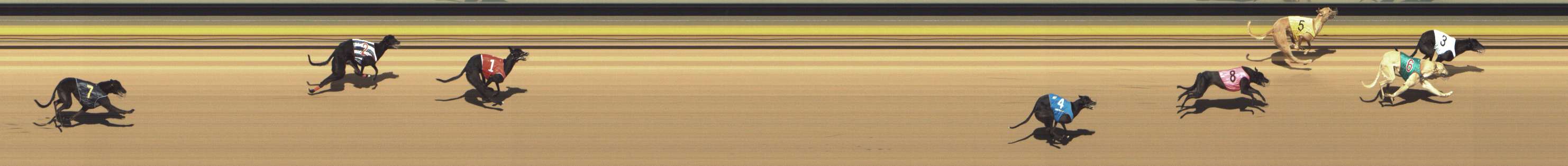 Photo finish for Shepparton Race 6