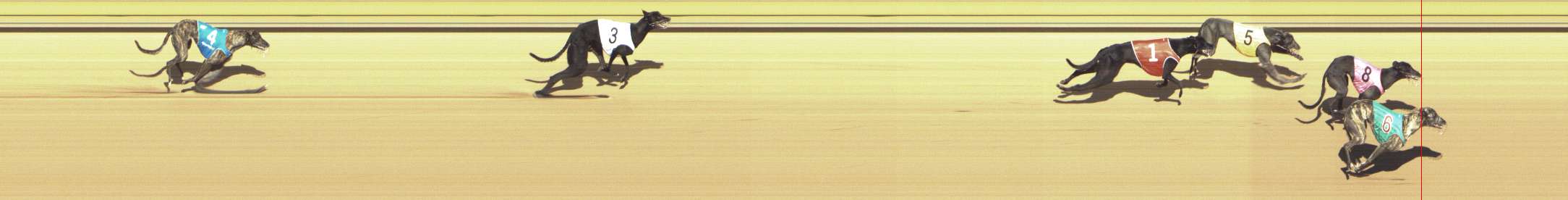 Photo finish for Shepparton Race 7