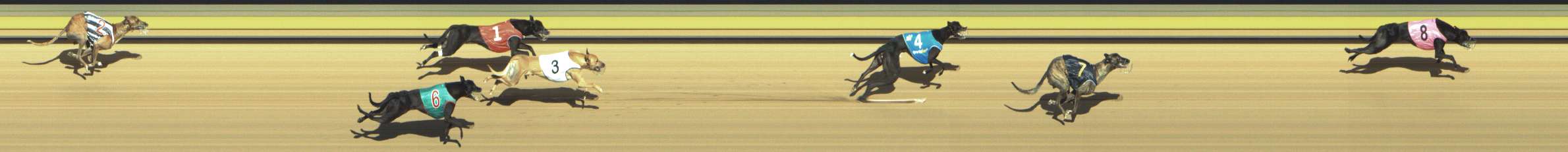 Photo finish for Shepparton Race 8