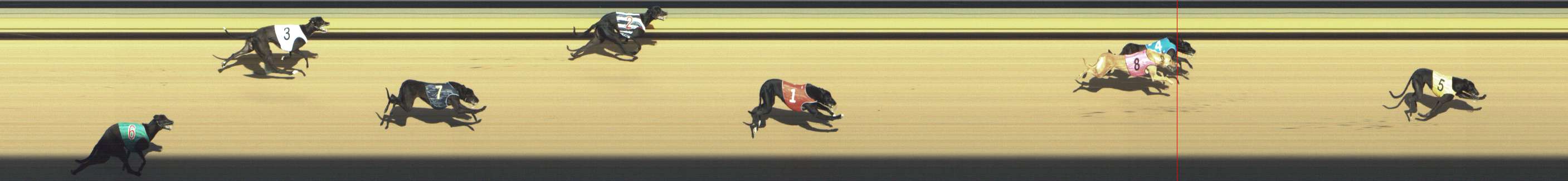Photo finish for Shepparton Race 9