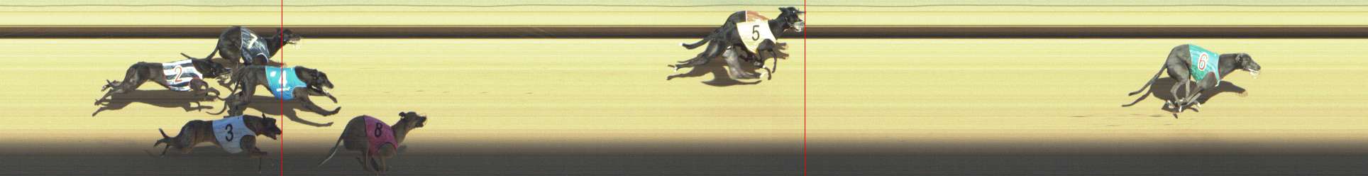 Photo finish for Shepparton Race 10
