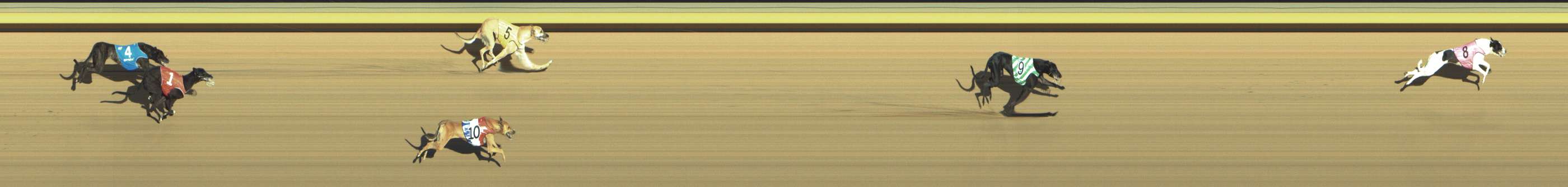 Photo finish for Shepparton Race 11