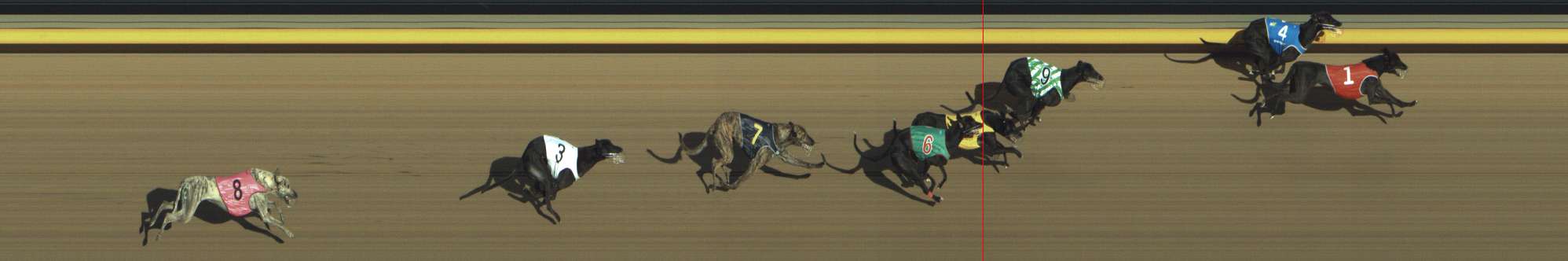 Photo finish for Shepparton Race 12
