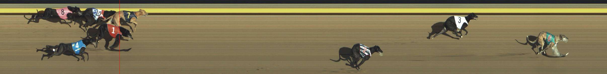 Photo finish for Shepparton Race 13