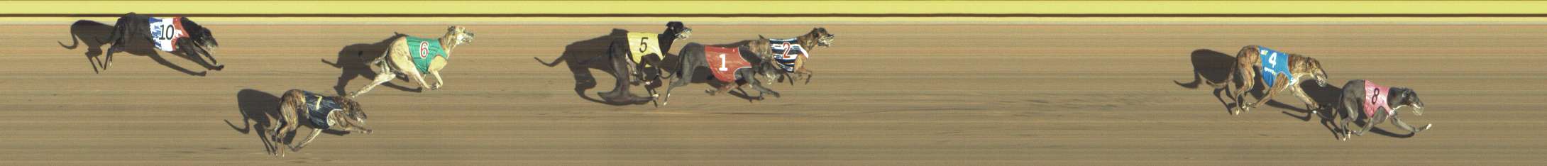 Photo finish for Shepparton Race 14