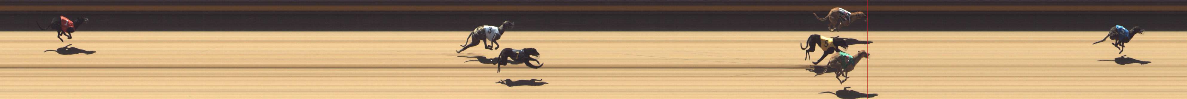Photo finish for Shepparton Race 1