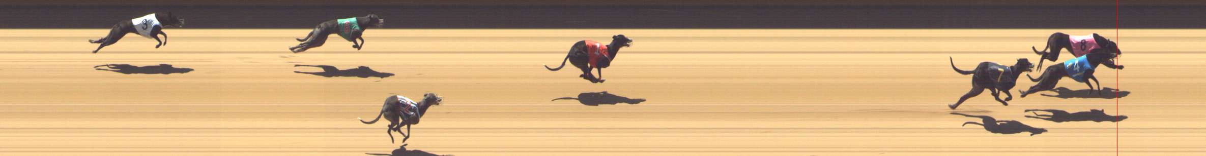Photo finish for Shepparton Race 2