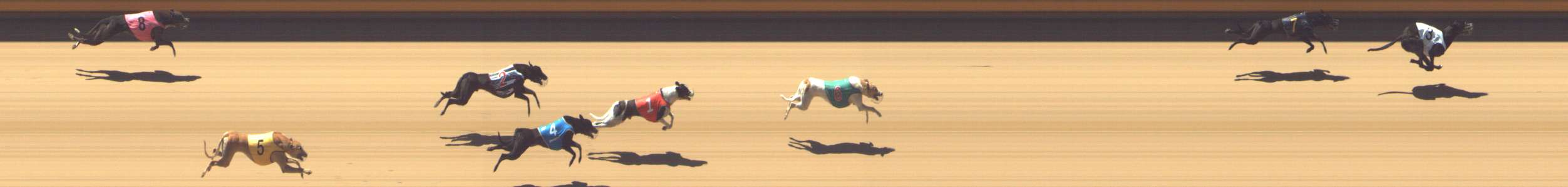 Photo finish for Shepparton Race 3
