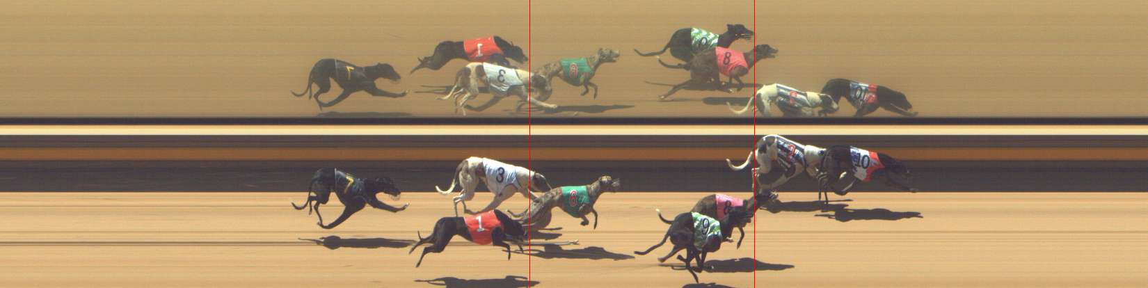 Photo finish for Shepparton Race 4
