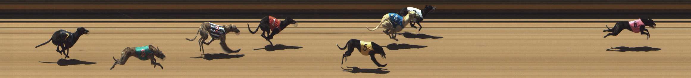 Photo finish for Shepparton Race 5