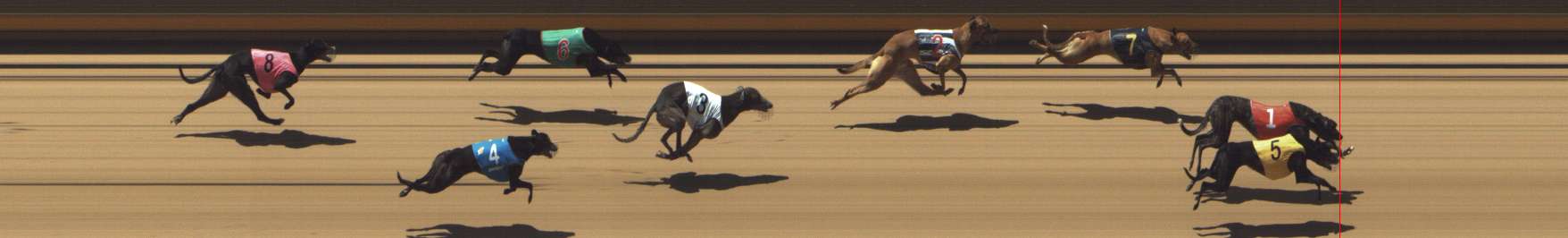 Photo finish for Shepparton Race 6