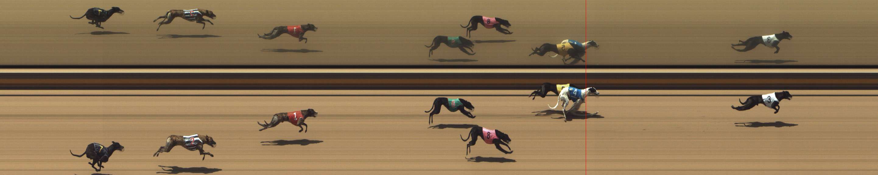 Photo finish for Shepparton Race 7