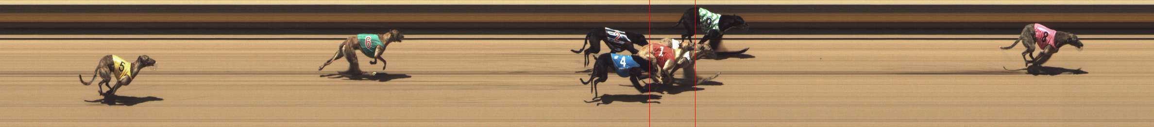 Photo finish for Shepparton Race 9