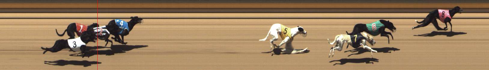 Photo finish for Shepparton Race 10