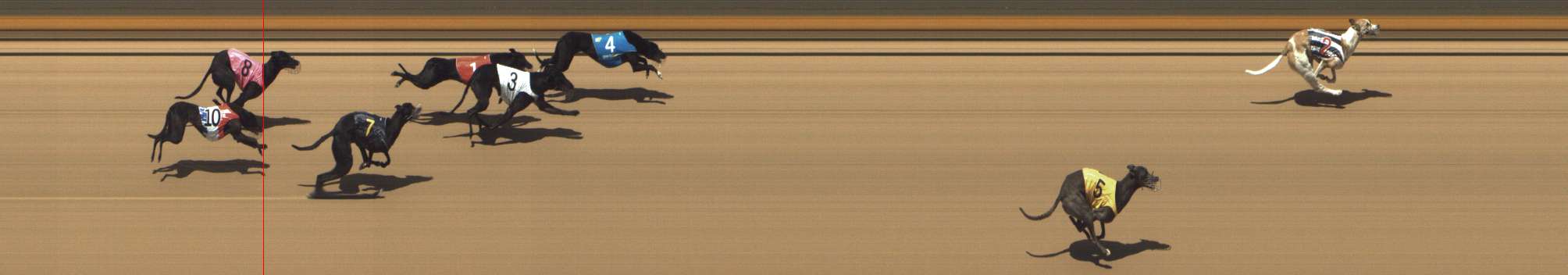 Photo finish for Shepparton Race 11