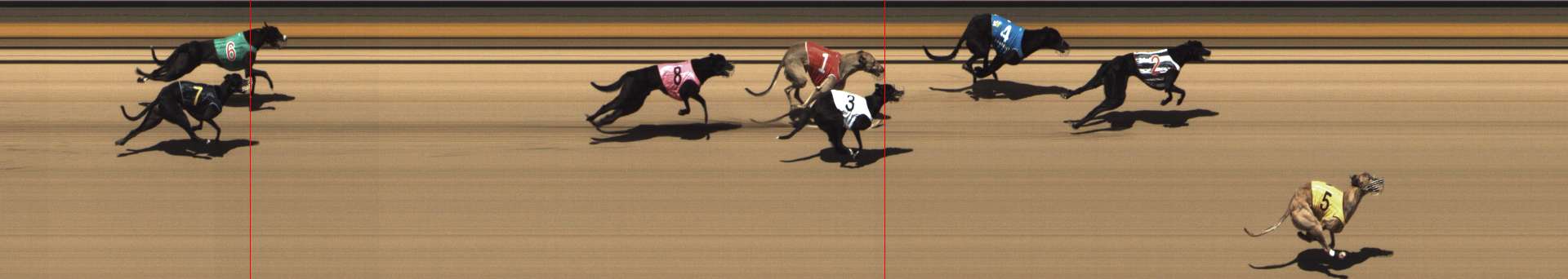 Photo finish for Shepparton Race 12
