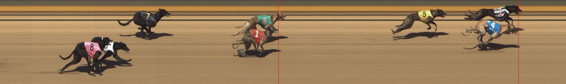 Photo finish for Shepparton Race 13