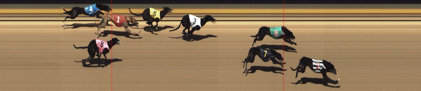 Photo finish for Shepparton Race 14