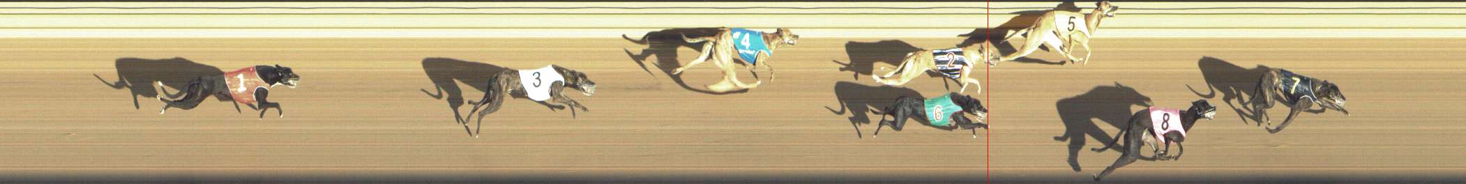 Photo finish for Shepparton Race 1