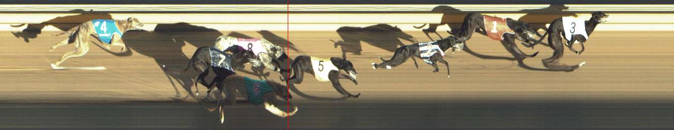 Photo finish for Shepparton Race 2