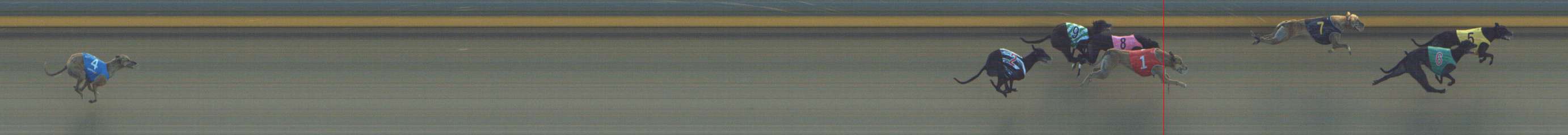 Photo finish for Shepparton Race 3