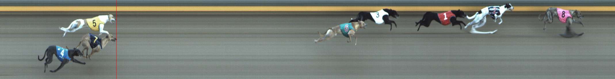 Photo finish for Shepparton Race 4