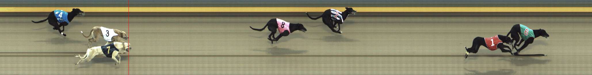 Photo finish for Shepparton Race 5