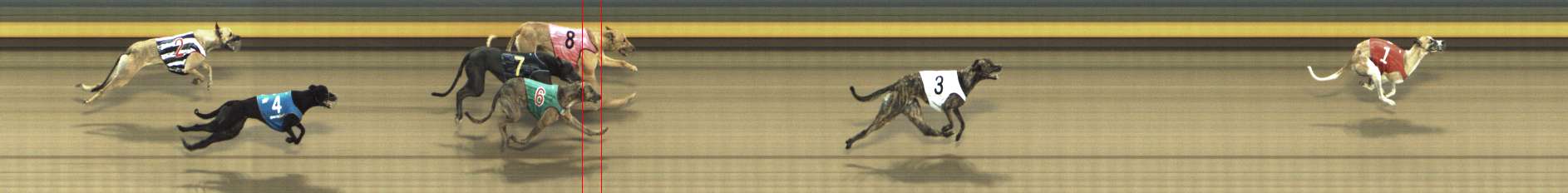Photo finish for Shepparton Race 6