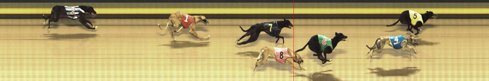 Photo finish for Shepparton Race 7