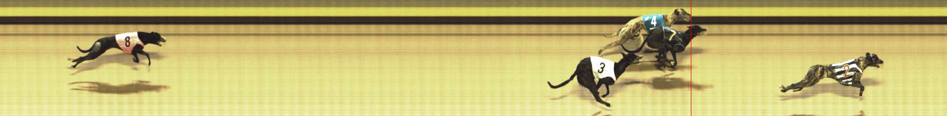 Photo finish for Shepparton Race 8
