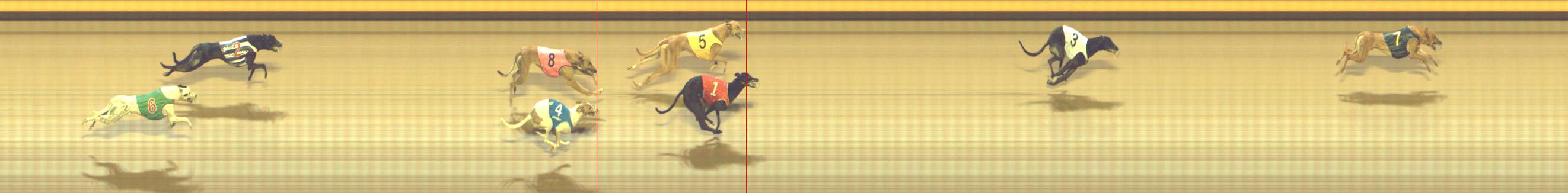 Photo finish for Shepparton Race 9