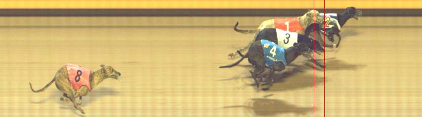 Photo finish for Shepparton Race 10