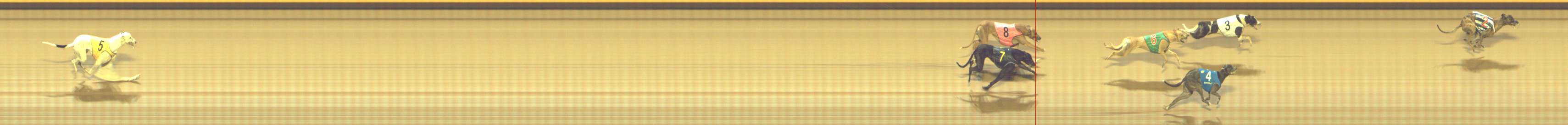 Photo finish for Shepparton Race 11