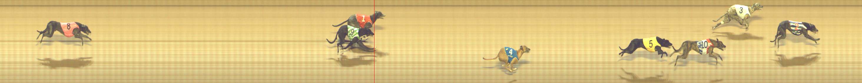 Photo finish for Shepparton Race 12