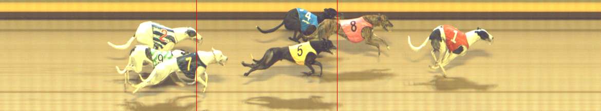 Photo finish for Shepparton Race 13