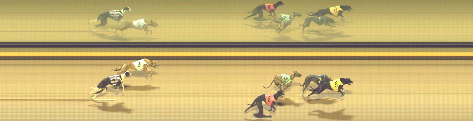 Photo finish for Shepparton Race 14