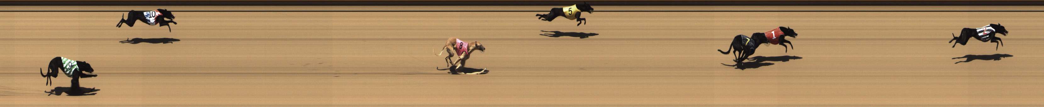 Photo finish for Shepparton Race 1