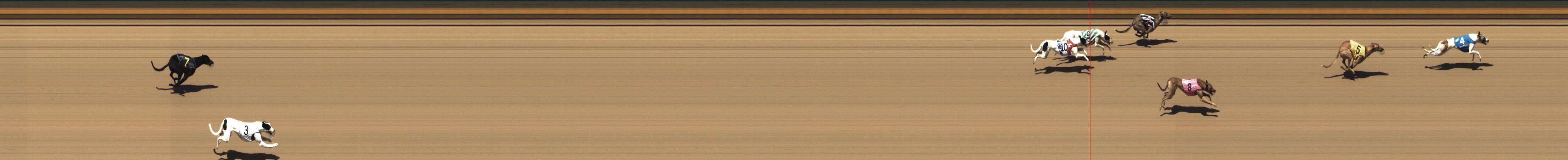 Photo finish for Shepparton Race 2
