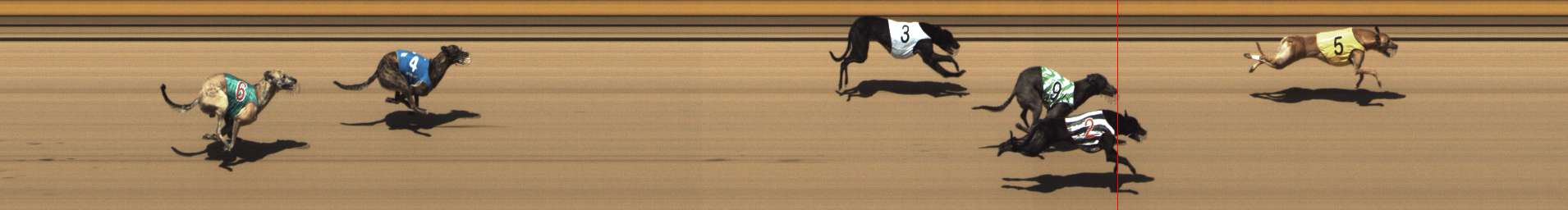 Photo finish for Shepparton Race 3
