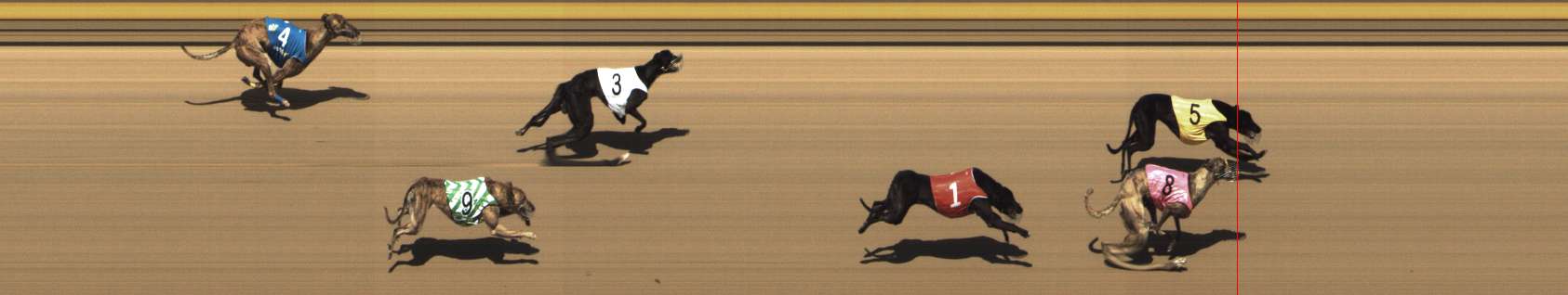 Photo finish for Shepparton Race 5