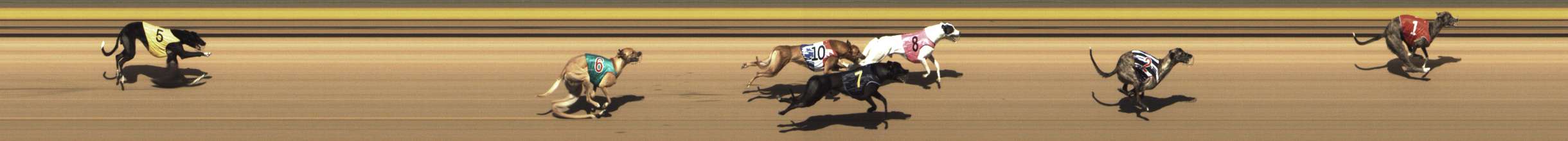Photo finish for Shepparton Race 6