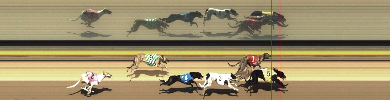 Photo finish for Shepparton Race 7