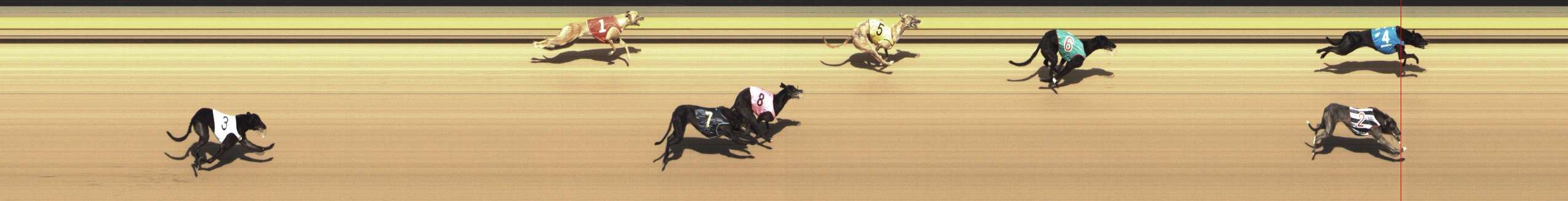 Photo finish for Shepparton Race 8