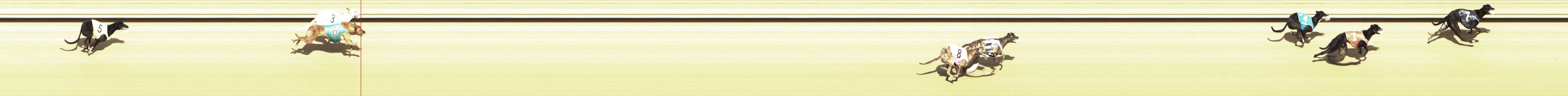 Photo finish for Shepparton Race 9