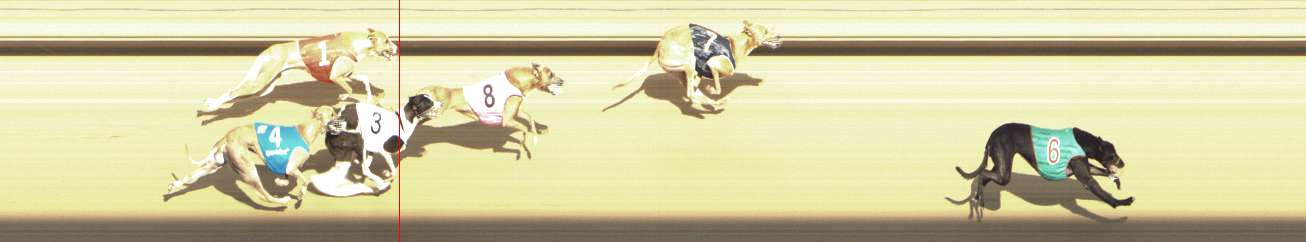 Photo finish for Shepparton Race 10