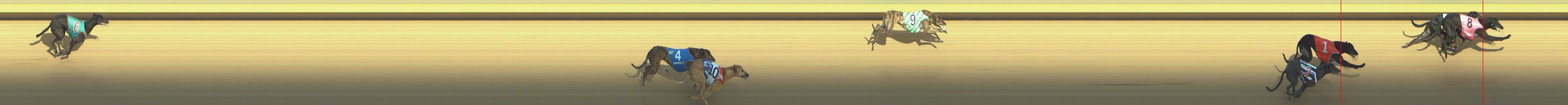 Photo finish for Shepparton Race 11