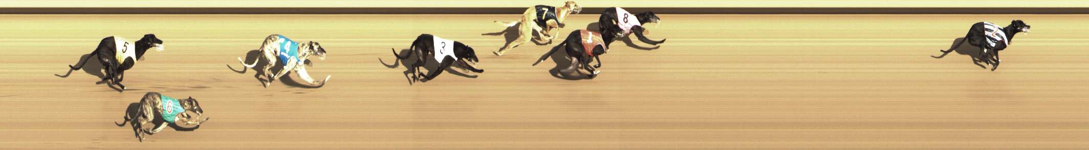 Photo finish for Shepparton Race 12