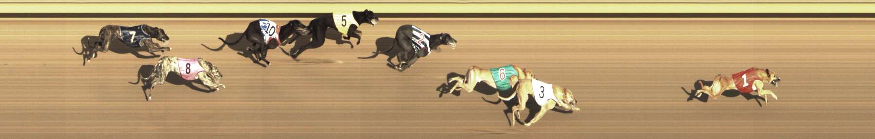 Photo finish for Shepparton Race 13