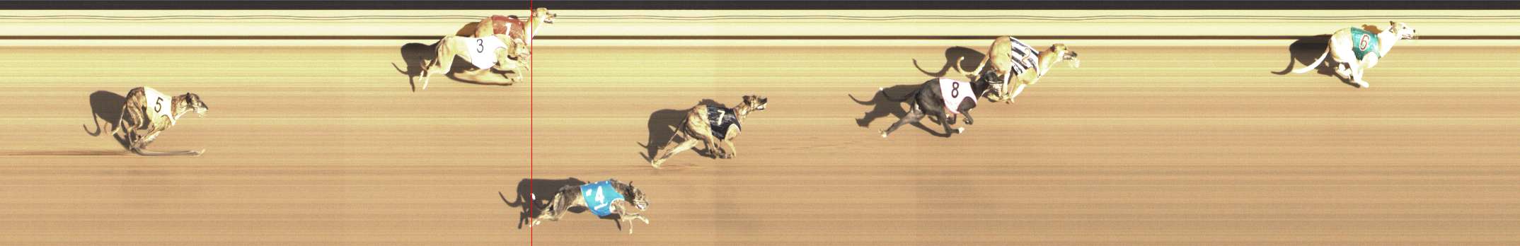 Photo finish for Shepparton Race 14