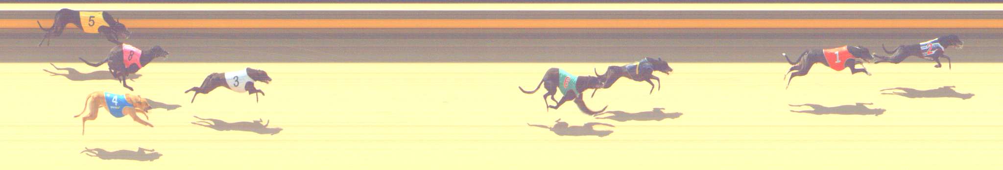 Photo finish for Shepparton Race 1